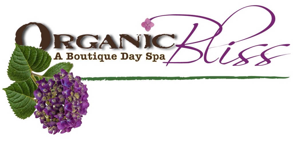 bliss day spa