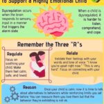 3 Rs for dysregulation